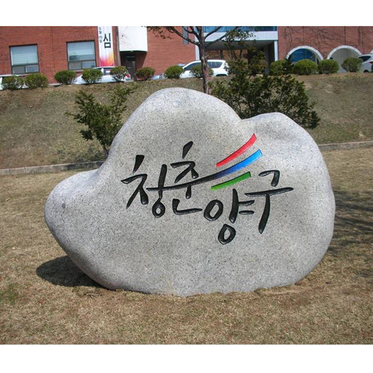 청춘양구